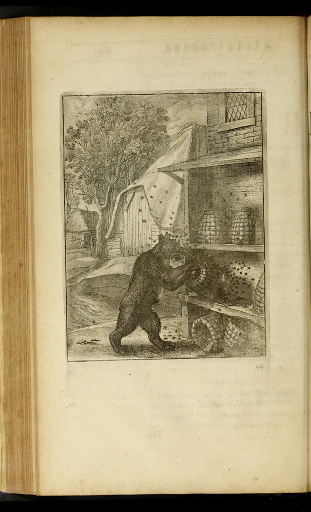 An illustration from The fables of Aesop paraphras'd in verse : adorn'd with sculpture, and illustrated with annotations, 1668, leaf 208