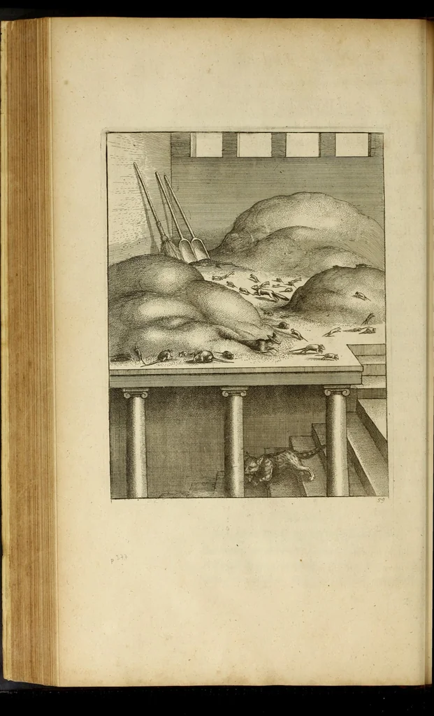 An illustration from The fables of Aesop paraphras'd in verse : adorn'd with sculpture, and illustrated with annotations, 1668, leaf 278
