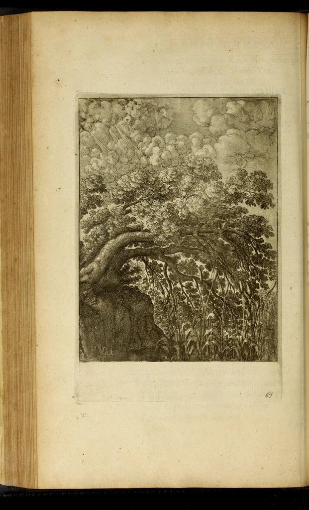 An illustration from The fables of Aesop paraphras'd in verse : adorn'd with sculpture, and illustrated with annotations, 1668, leaf 316