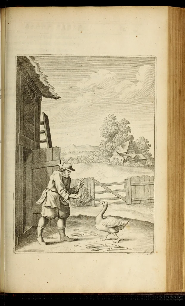 An illustration from The fables of Aesop paraphras'd in verse : adorn'd with sculpture, and illustrated with annotations, 1668, leaf 481