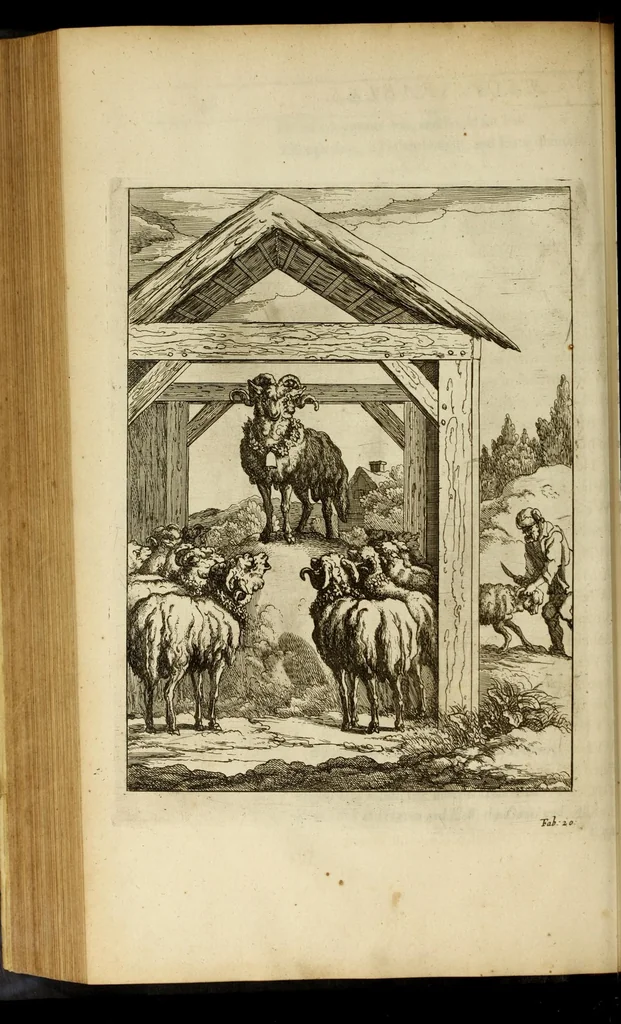 An illustration from The fables of Aesop paraphras'd in verse : adorn'd with sculpture, and illustrated with annotations, 1668, leaf 486