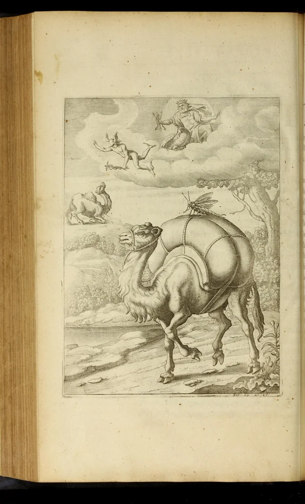 An illustration from The fables of Aesop paraphras'd in verse : adorn'd with sculpture, and illustrated with annotations, 1668, leaf 502