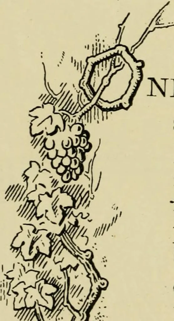 An illustration from The fables of Æsop, selected, told anew and their history traced, 1894, leaf 107