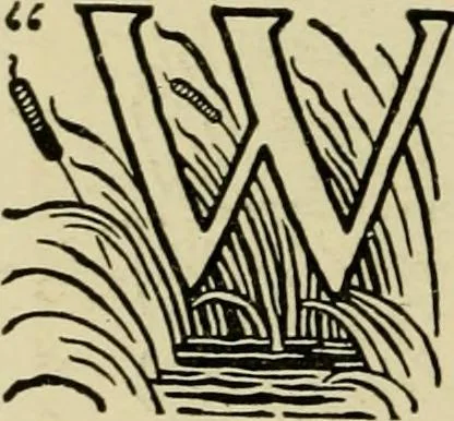 An illustration from The fables of Æsop, selected, told anew and their history traced, 1894, leaf 119