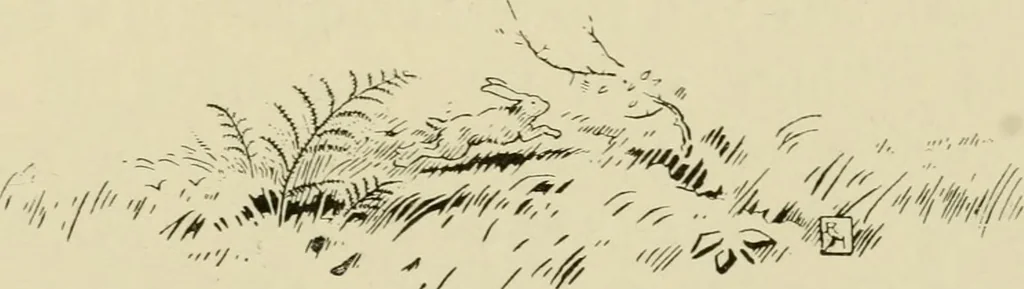 An illustration from The fables of Æsop, selected, told anew and their history traced, 1894, leaf 200
