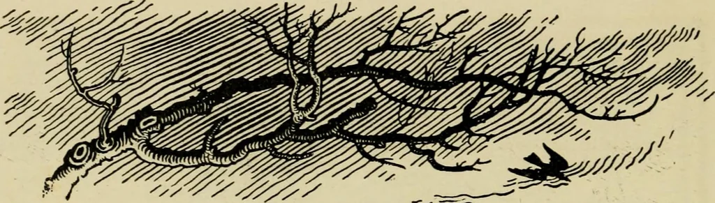 An illustration from The fables of Æsop, selected, told anew and their history traced, 1894, leaf 51