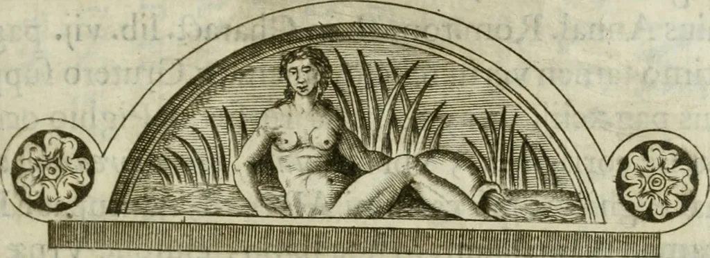 An illustration from Raph. Fabretti Gasparis f. Vrbinatis De aquis et aquaeductibus veteris Romae dissertationes tres, 1680, leaf 104