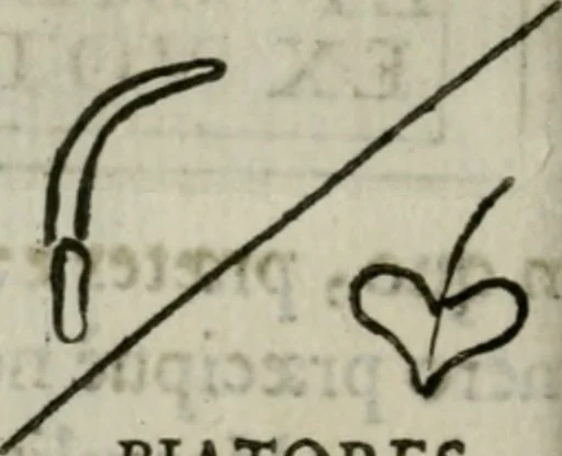 An illustration from Raph. Fabretti Gasparis f. Vrbinatis De aquis et aquaeductibus veteris Romae dissertationes tres, 1680, leaf 111