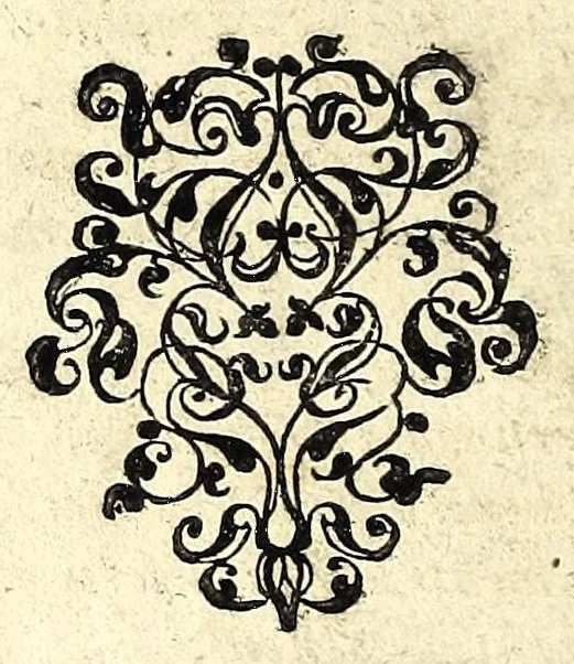 An illustration from Fabrica et usus instrumenti chorographici : quo mira facilitate describuntur regiones & singulae partes earum, veluti montes, urbes, castella, pagi, propugnacula, & similia : additae sunt, praeter duo instrumenta homogenea XV. formae aneae, fabricam & usum instrumentorum quasi in synopsi proponentes, 1607, leaf 36
