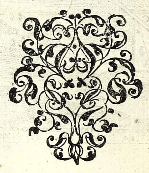 An illustration from Fabrica et usus instrumenti chorographici : quo mira facilitate describuntur regiones & singulae partes earum, veluti montes, urbes, castella, pagi, propugnacula, & similia : additae sunt, praeter duo instrumenta homogenea XV. formae aneae, fabricam & usum instrumentorum quasi in synopsi proponentes, 1607, leaf 8