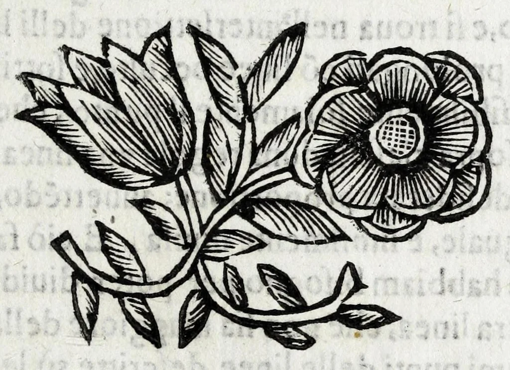An illustration from Fabrica, et vso del compasso di proportione : doue insegna à gli artefici il modo di fare in esso le necessarie diuisioni, e con varij problemi vsuali mostra l'vtilità di questo stromento, 1664, leaf 15