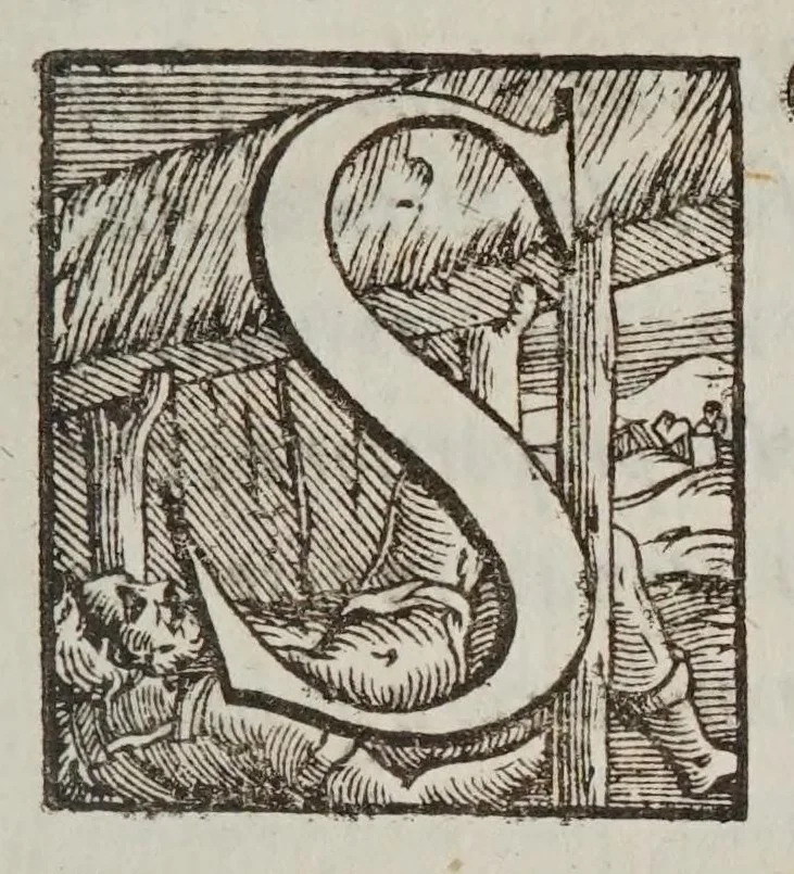 An illustration from Fabrica et vso del compasso polimetro, 1633, leaf 13