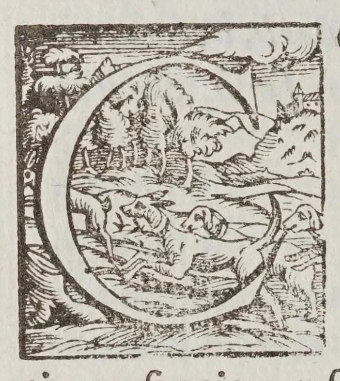An illustration from Fabrica et vso del compasso polimetro, 1633, leaf 60