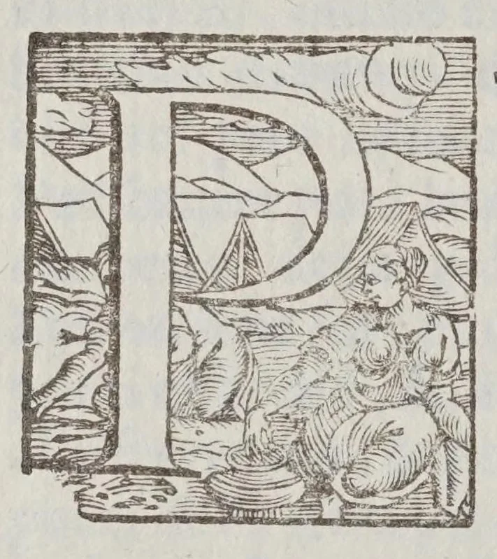 An illustration from Fabrica et vso del compasso polimetro, 1633, leaf 98