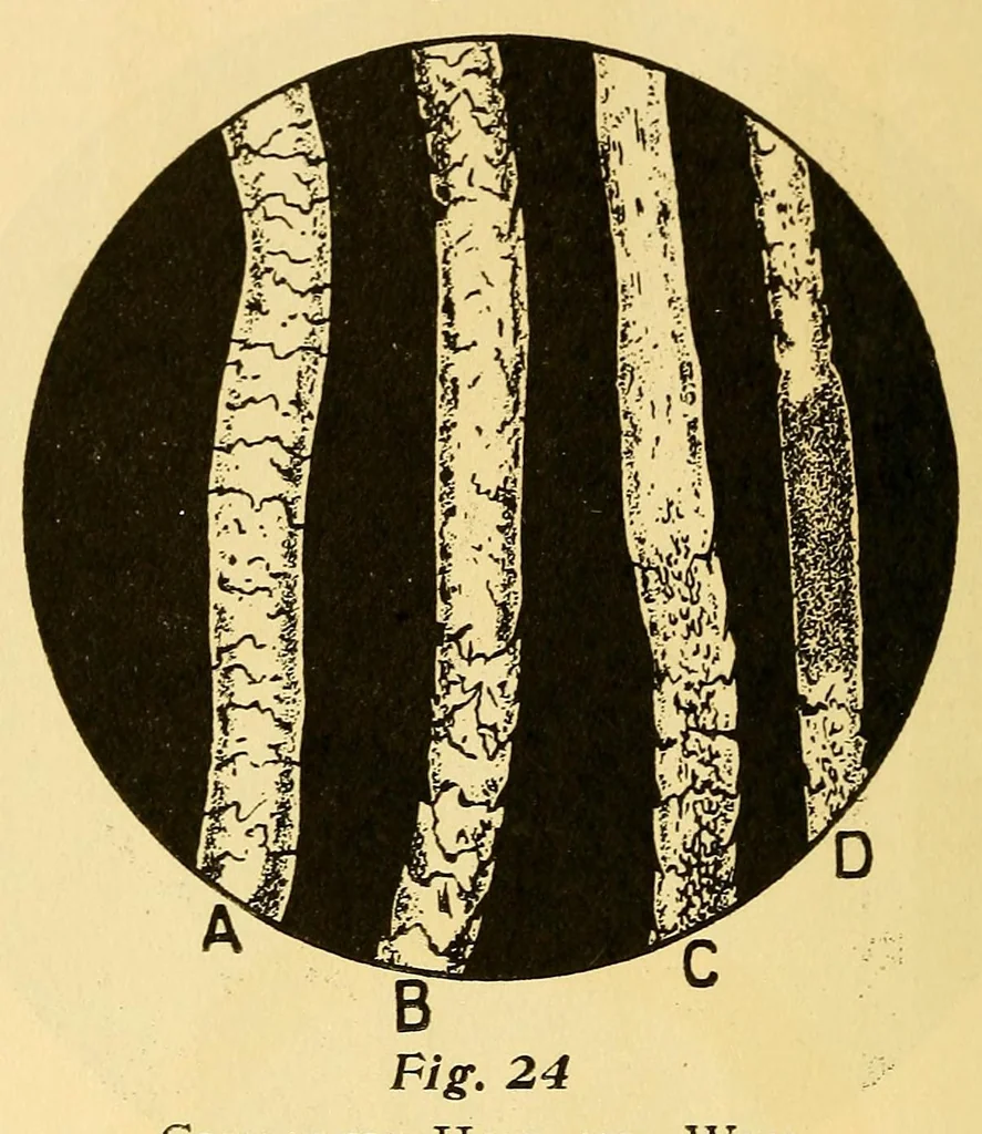 An illustration from Fabric analysis; covering wool, worsted, silk, cotton, artificial silk, etc. from fiber to finished fabric, 1920, leaf 58