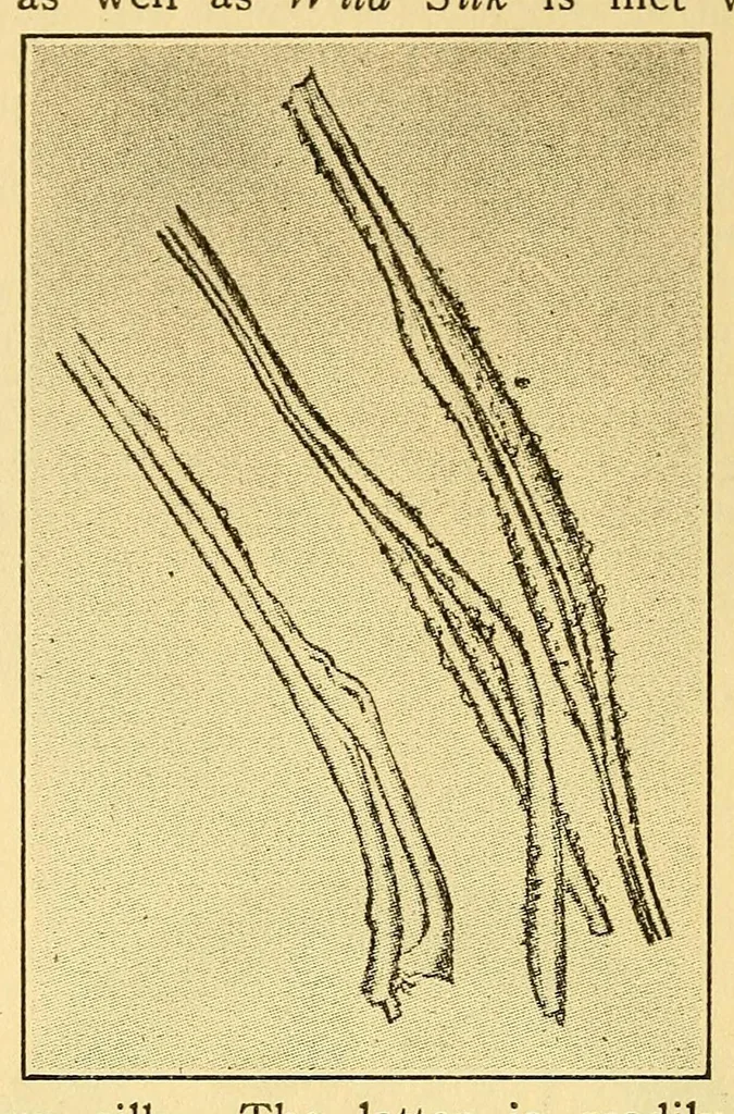 An illustration from Fabric analysis; covering wool, worsted, silk, cotton, artificial silk, etc. from fiber to finished fabric, 1920, leaf 66