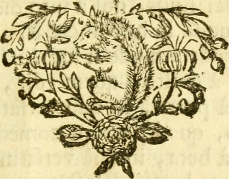 An illustration from Fabulae Aesopi graecaè et latinè, nunc denuo selectae, 1672, leaf 100