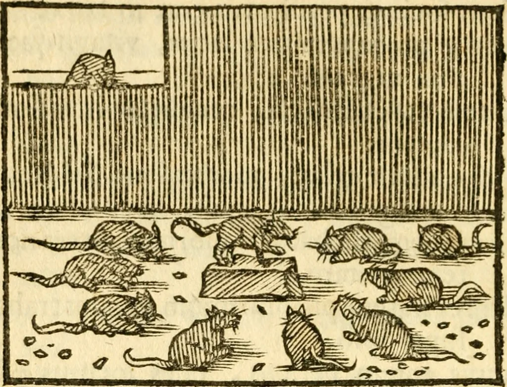An illustration from Fabulae Aesopi graecaè et latinè, nunc denuo selectae, 1672, leaf 113
