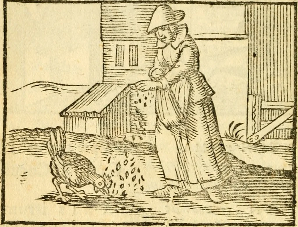 An illustration from Fabulae Aesopi graecaè et latinè, nunc denuo selectae, 1672, leaf 17
