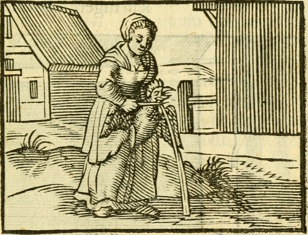An illustration from Fabulae Aesopi graecaè et latinè, nunc denuo selectae, 1672, leaf 18