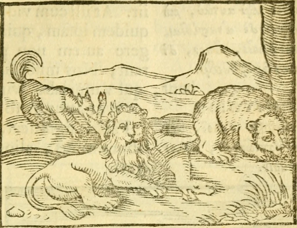 An illustration from Fabulae Aesopi graecaè et latinè, nunc denuo selectae, 1672, leaf 28