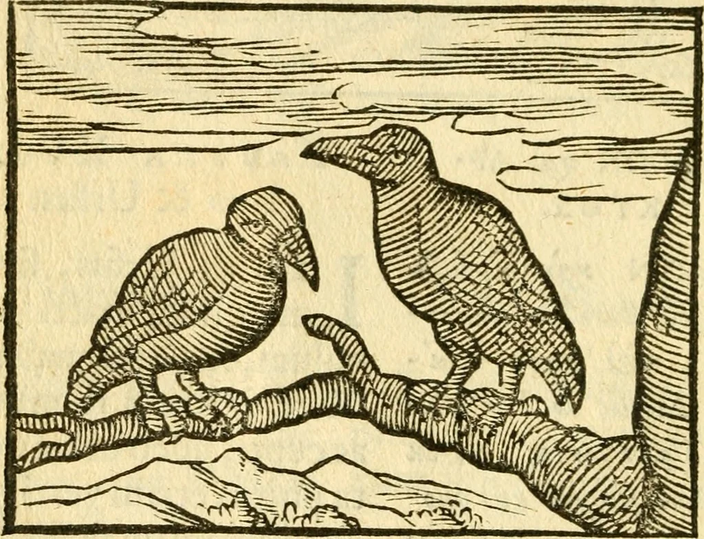 An illustration from Fabulae Aesopi graecaè et latinè, nunc denuo selectae, 1672, leaf 29