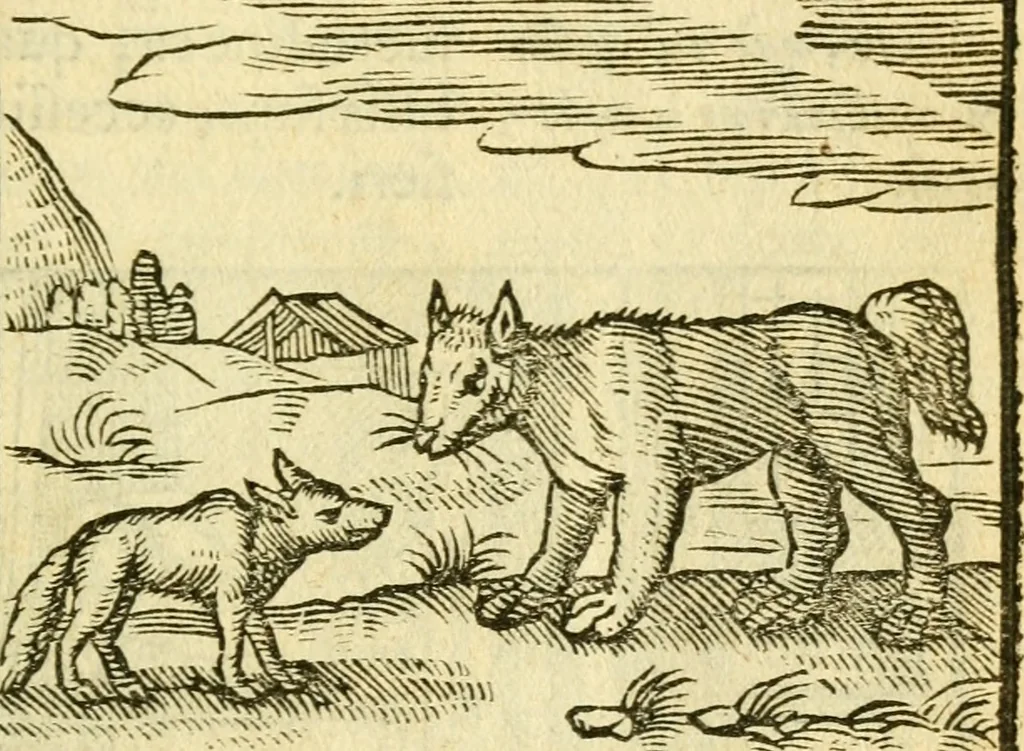 An illustration from Fabulae Aesopi graecaè et latinè, nunc denuo selectae, 1672, leaf 30