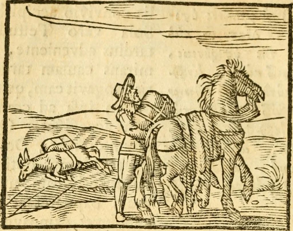 An illustration from Fabulae Aesopi graecaè et latinè, nunc denuo selectae, 1672, leaf 35