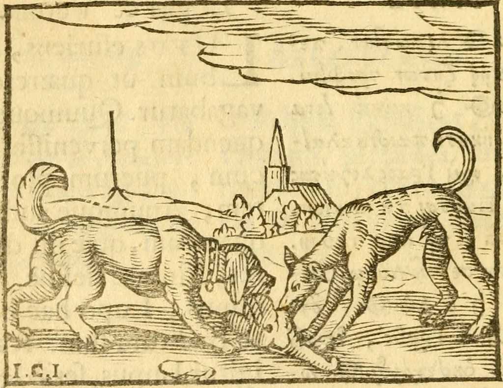 An illustration from Fabulae Aesopi graecaè et latinè, nunc denuo selectae, 1672, leaf 51