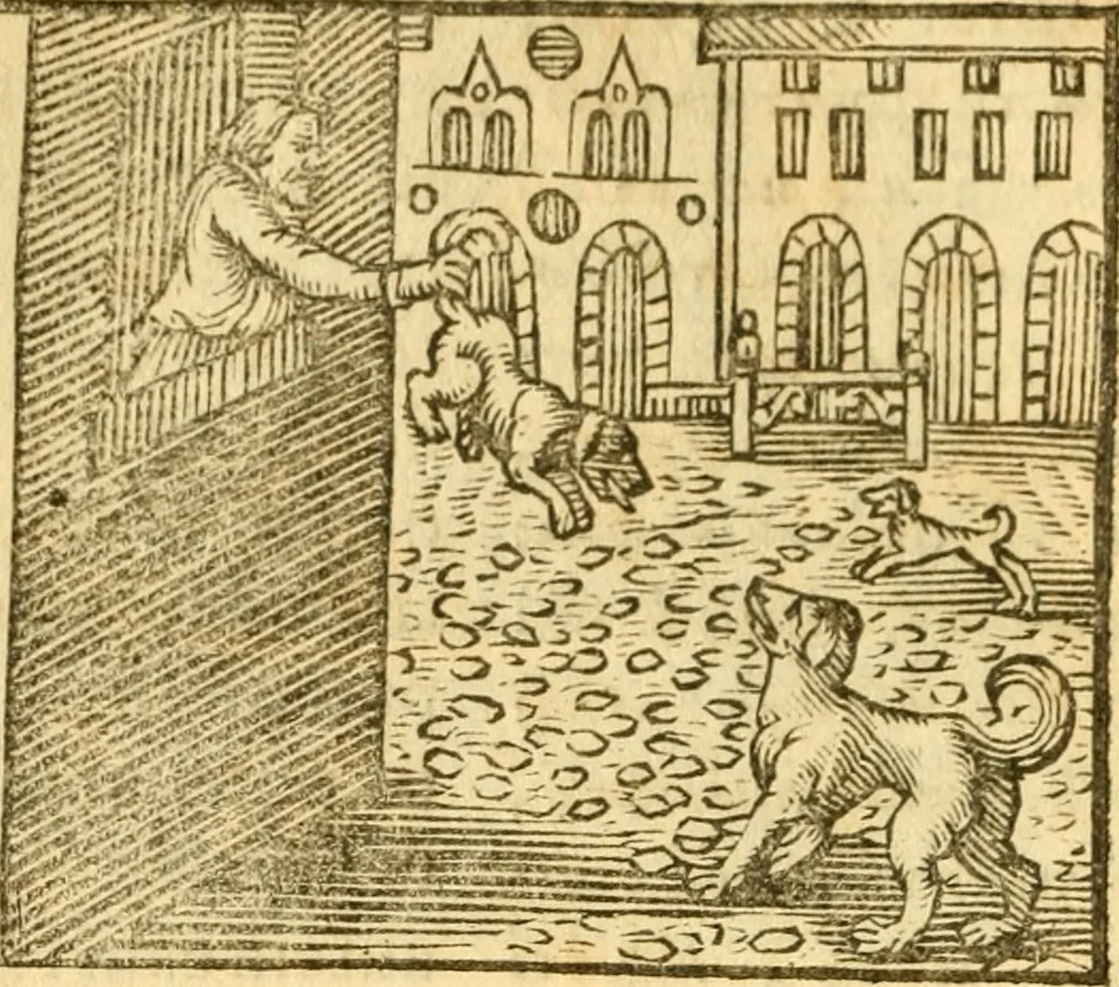 An illustration from Fabulae Aesopi graecaè et latinè, nunc denuo selectae, 1672, leaf 63