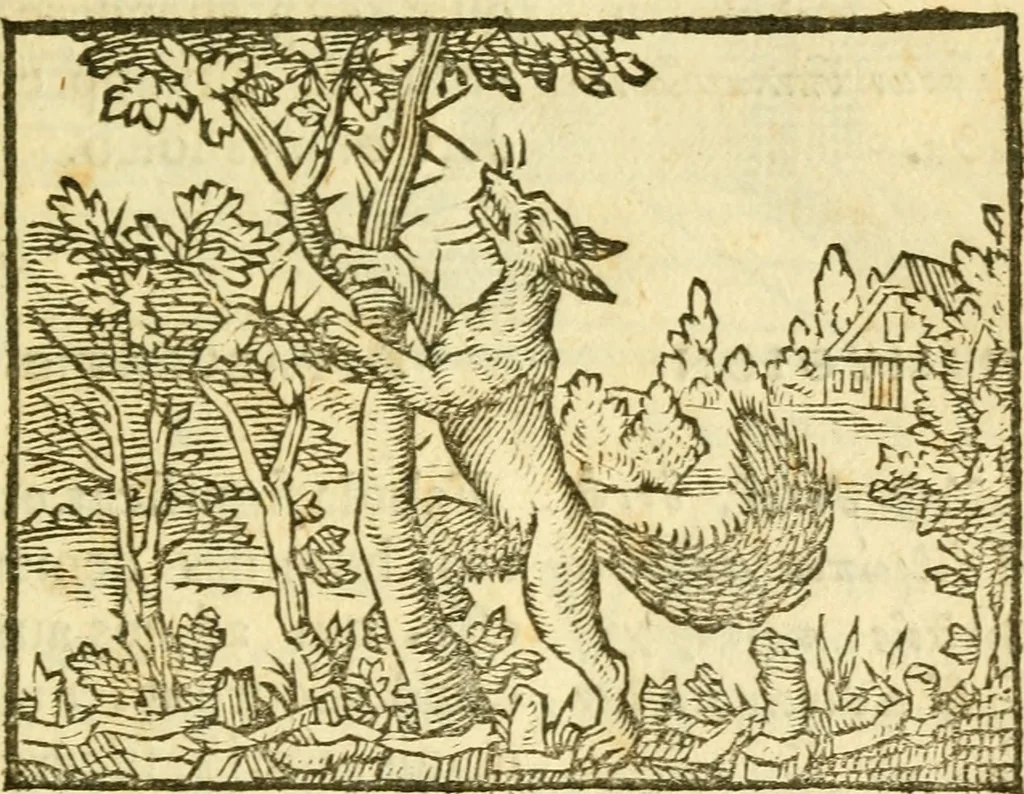 An illustration from Fabulae Aesopi graecaè et latinè, nunc denuo selectae, 1672, leaf 8