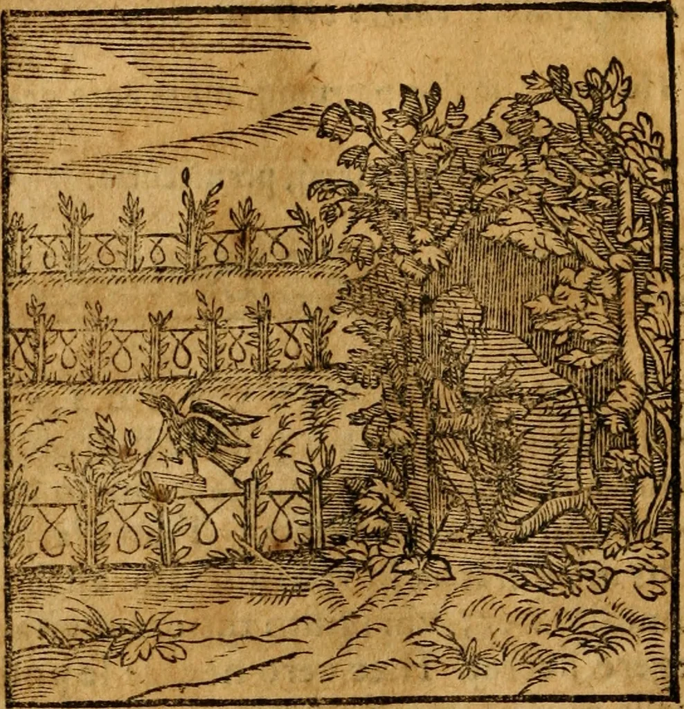 An illustration from Fabulae c. Aesopicae, 1590, leaf 113