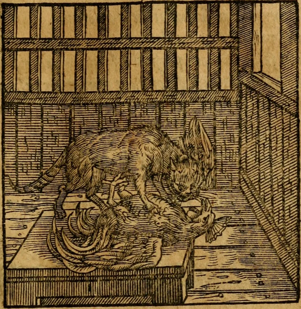 An illustration from Fabulae c. Aesopicae, 1590, leaf 118