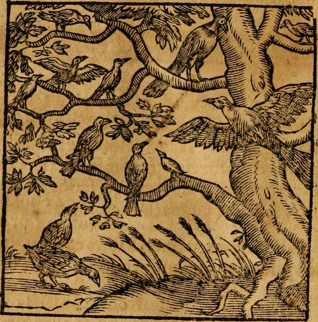 An illustration from Fabulae c. Aesopicae, 1590, leaf 125
