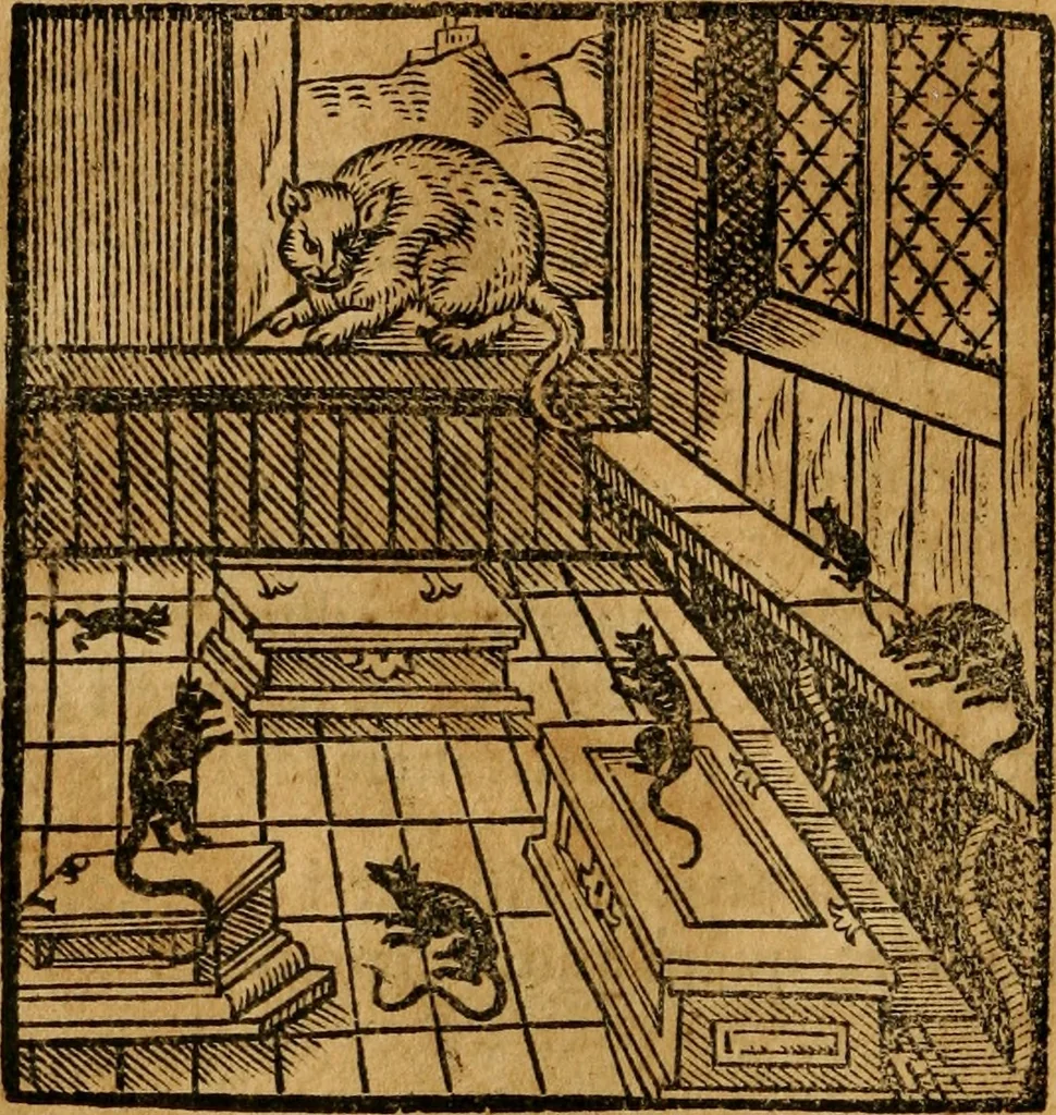 An illustration from Fabulae c. Aesopicae, 1590, leaf 127