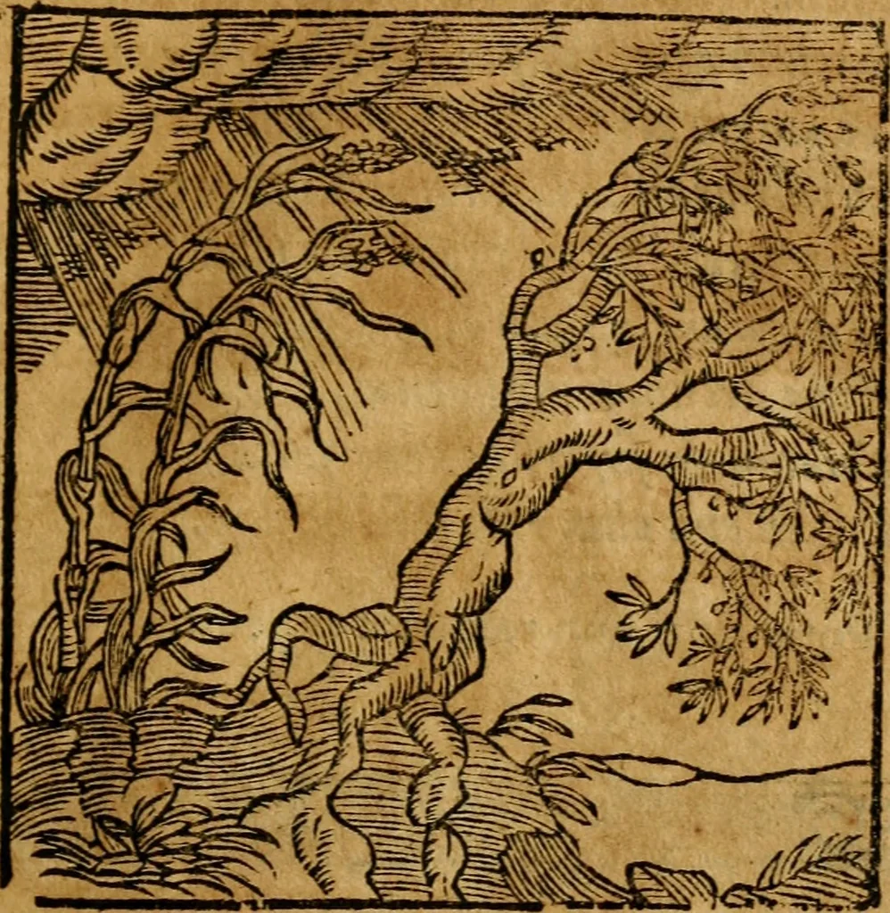 An illustration from Fabulae c. Aesopicae, 1590, leaf 134