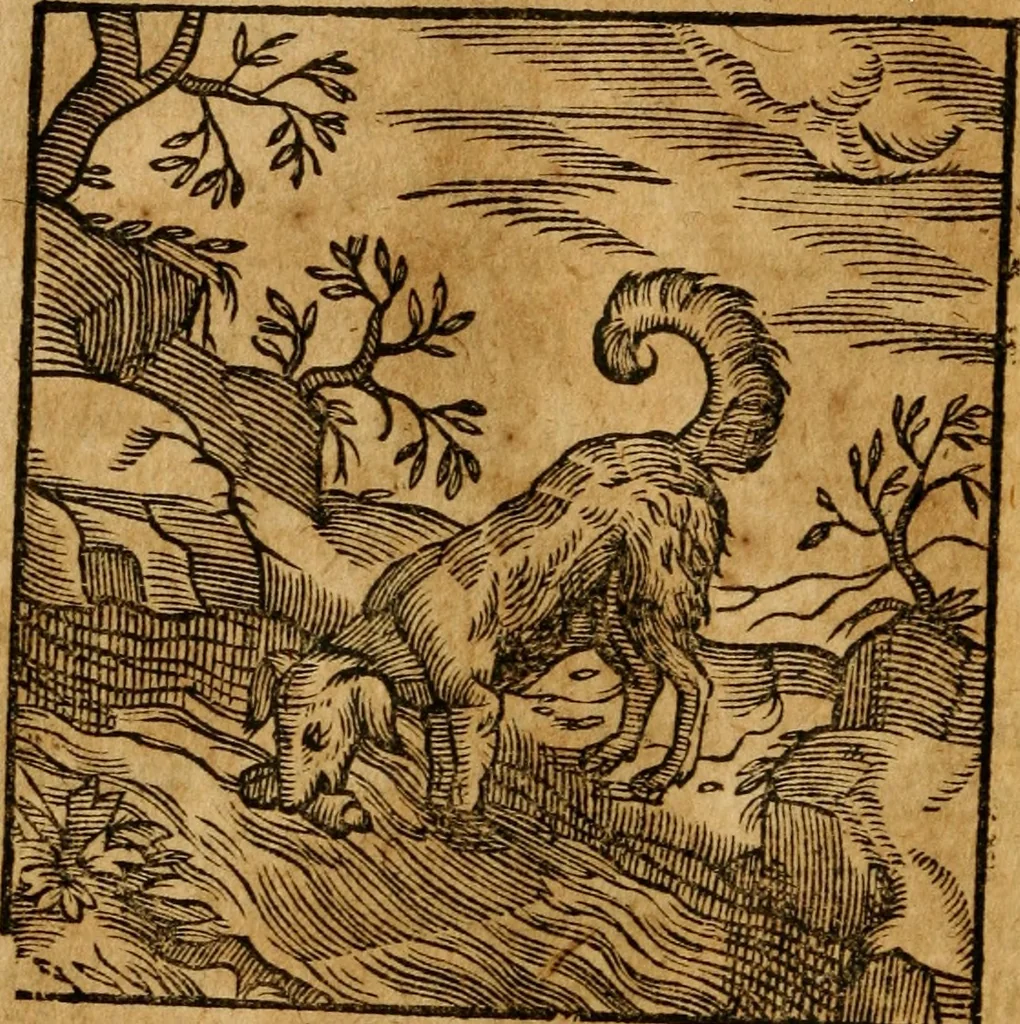 An illustration from Fabulae c. Aesopicae, 1590, leaf 141