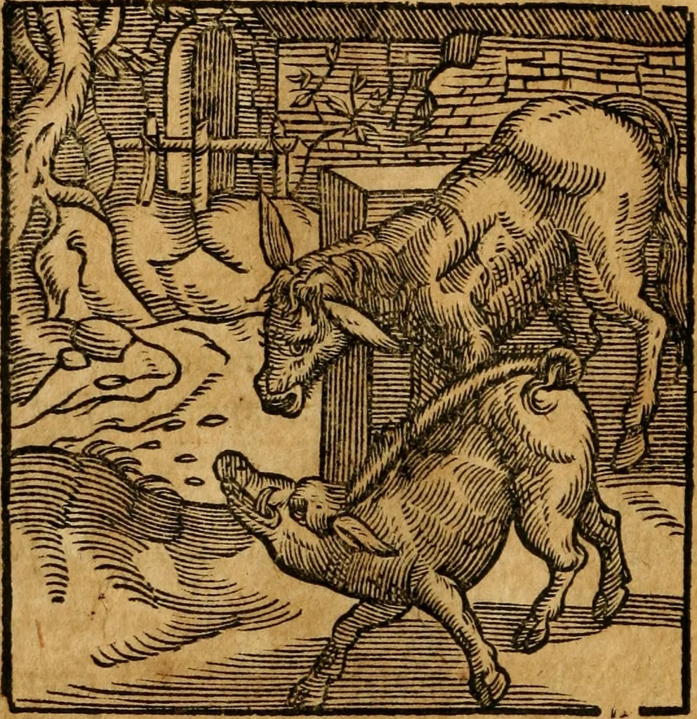 An illustration from Fabulae c. Aesopicae, 1590, leaf 143