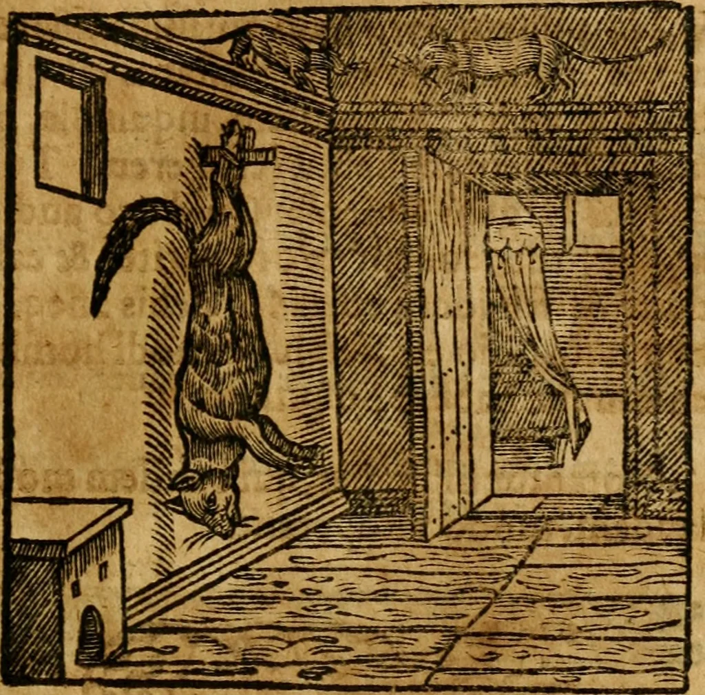 An illustration from Fabulae c. Aesopicae, 1590, leaf 154