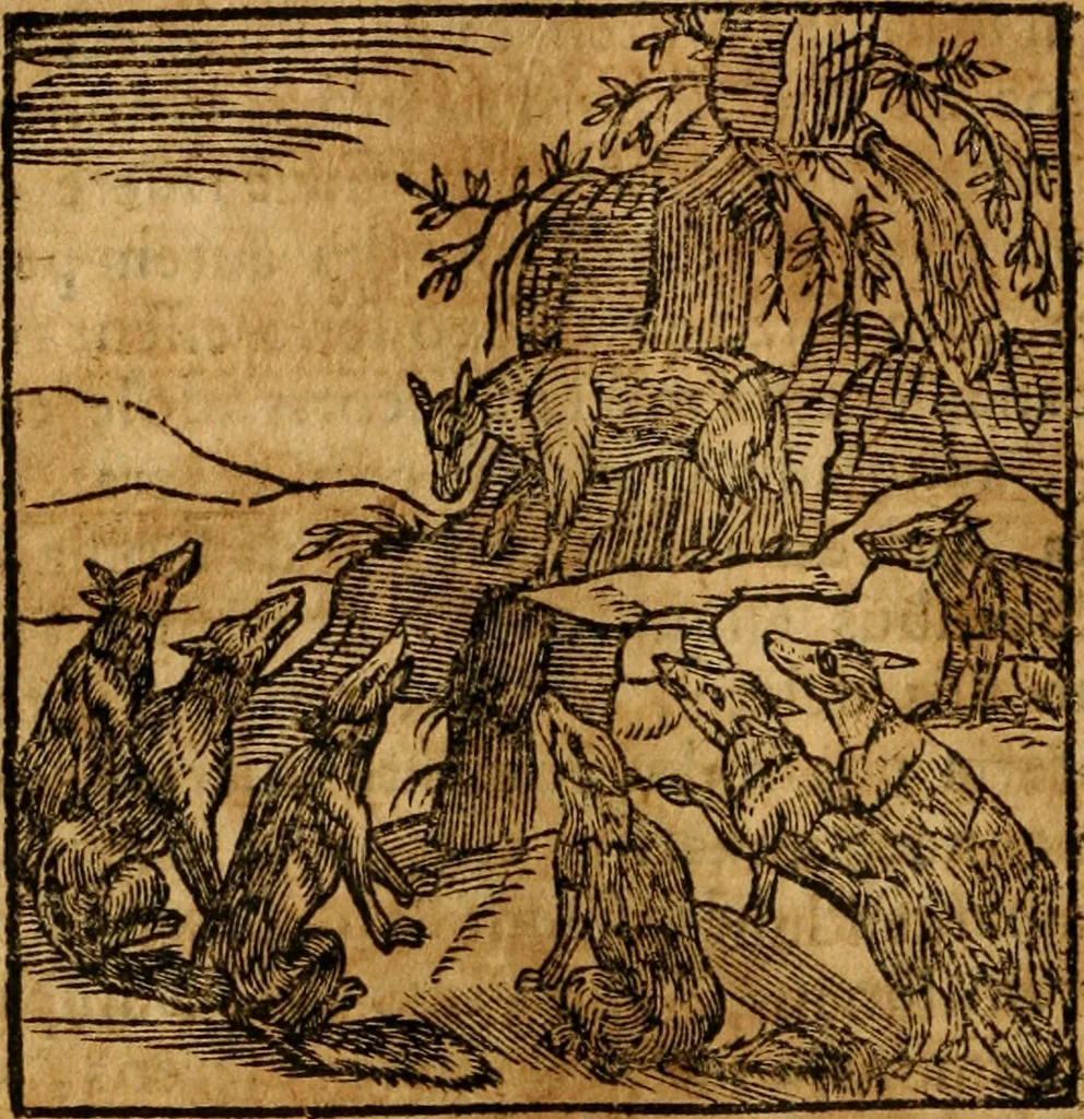 An illustration from Fabulae c. Aesopicae, 1590, leaf 161