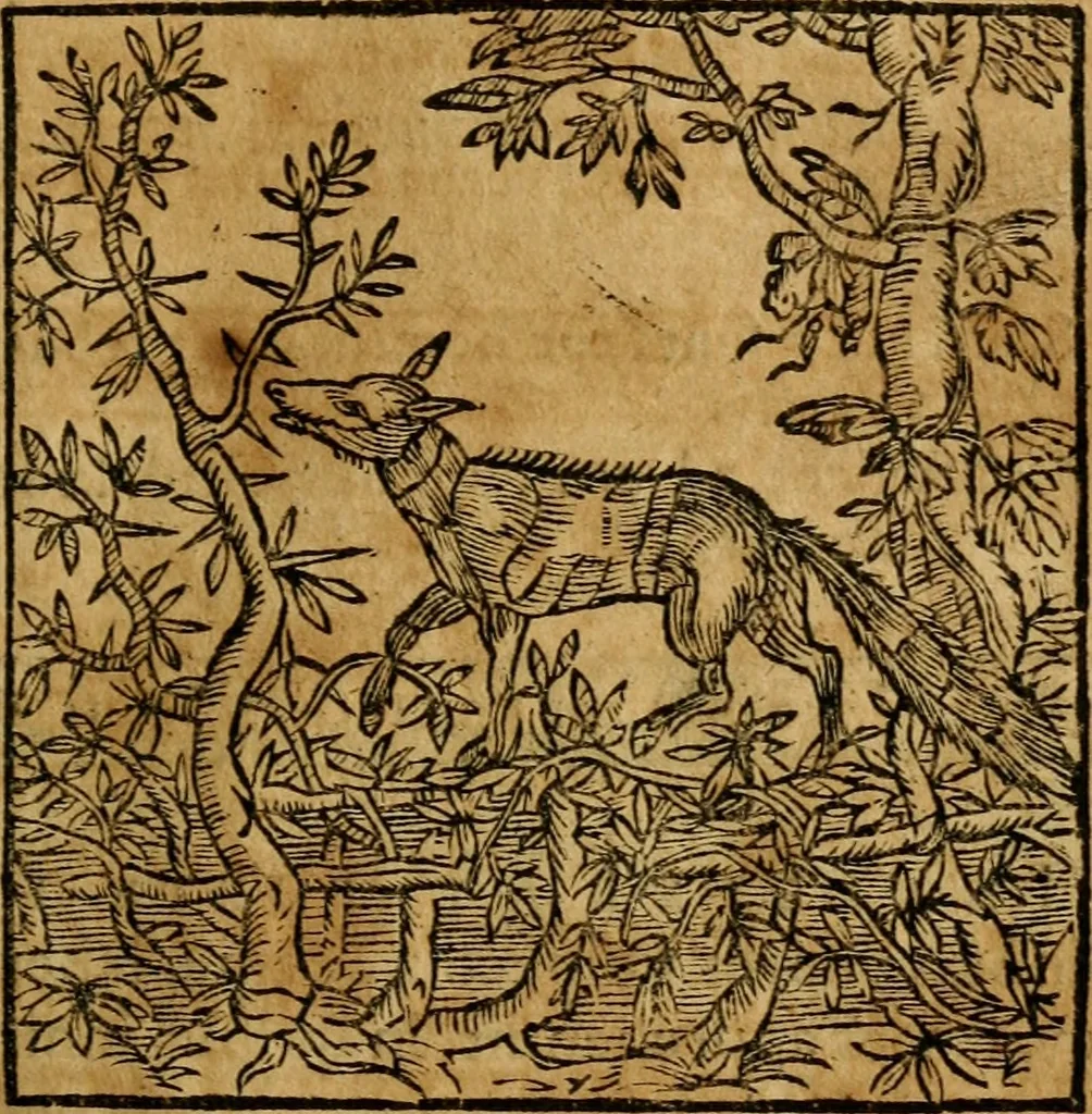 An illustration from Fabulae c. Aesopicae, 1590, leaf 172