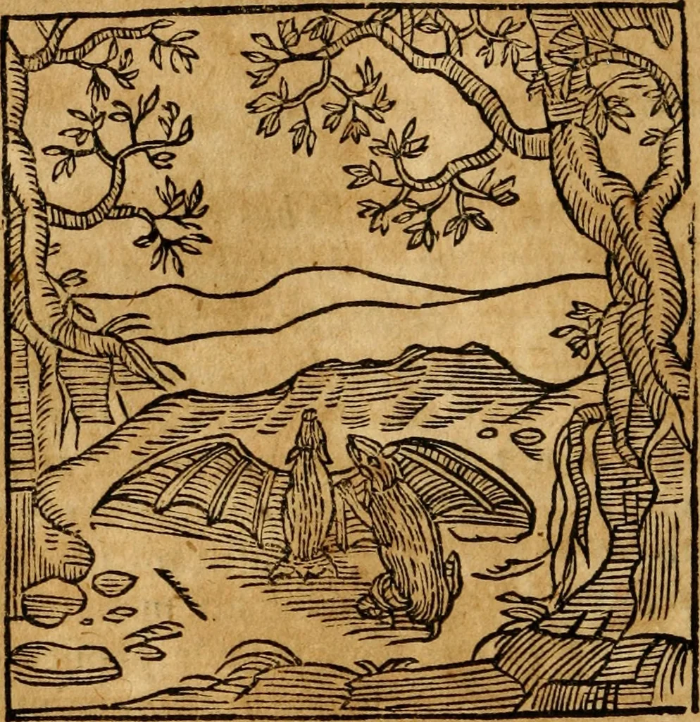 An illustration from Fabulae c. Aesopicae, 1590, leaf 199