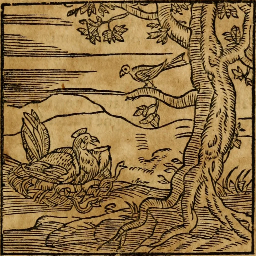 An illustration from Fabulae c. Aesopicae, 1590, leaf 204