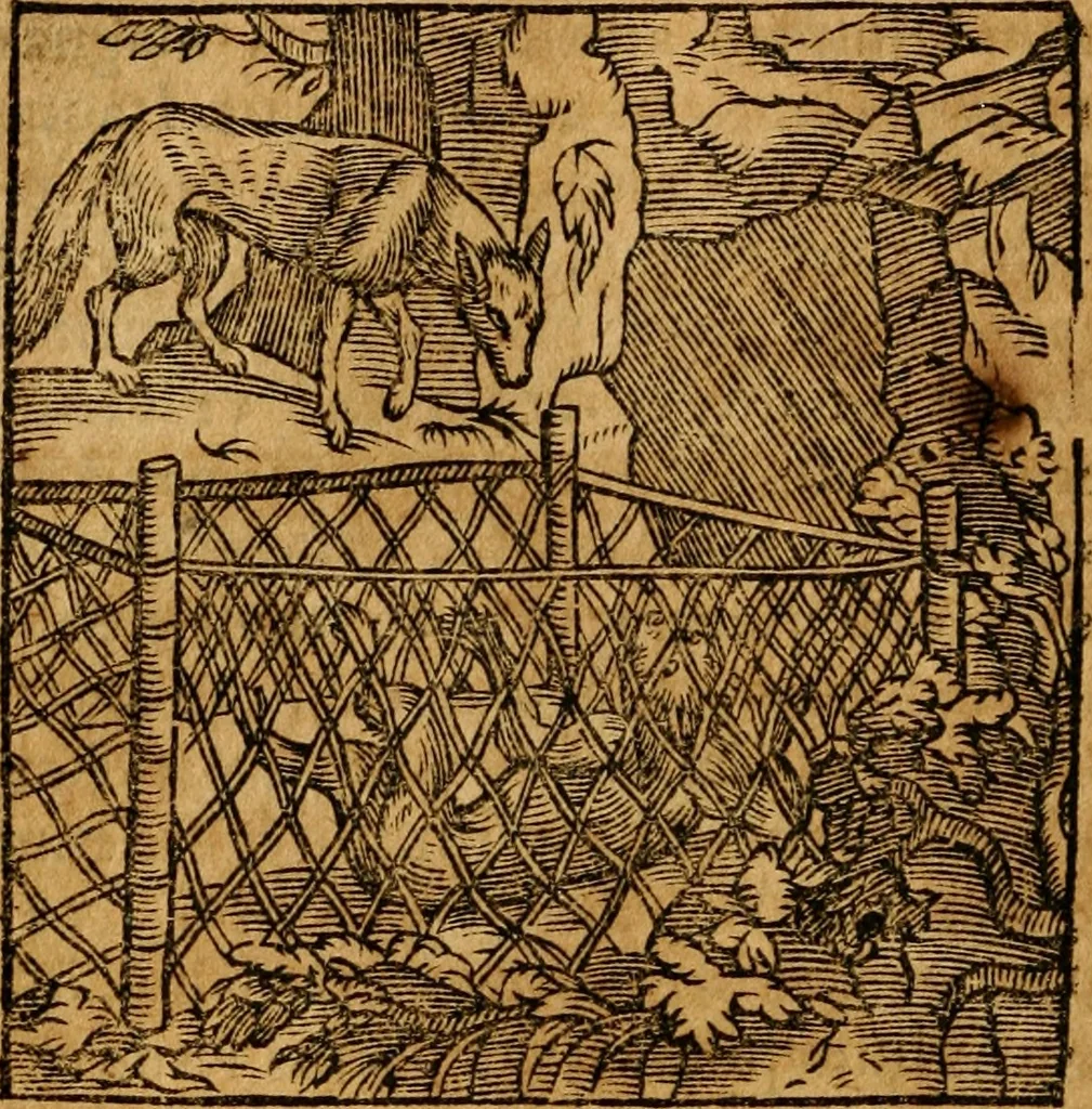 An illustration from Fabulae c. Aesopicae, 1590, leaf 209