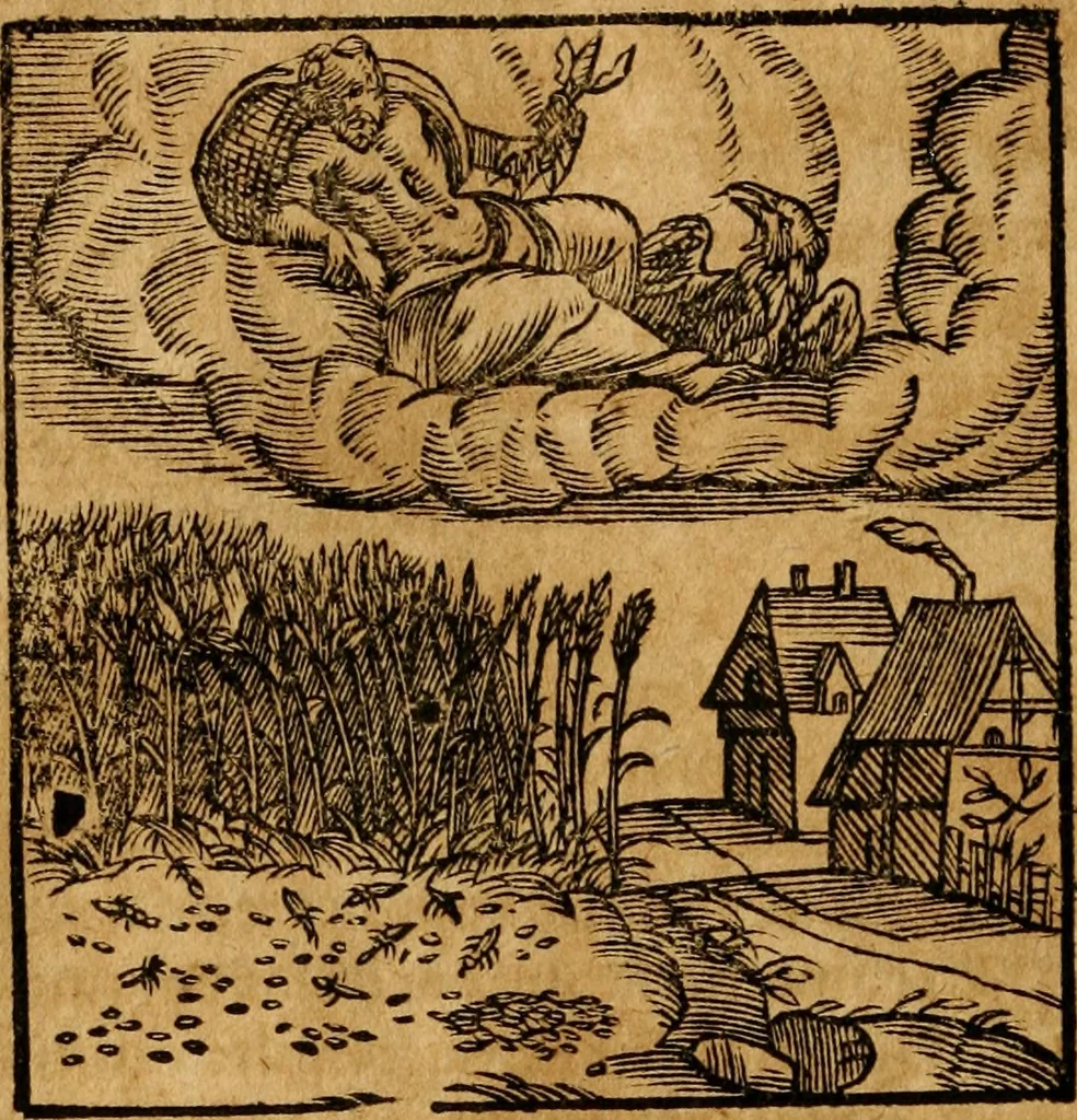 An illustration from Fabulae c. Aesopicae, 1590, leaf 213
