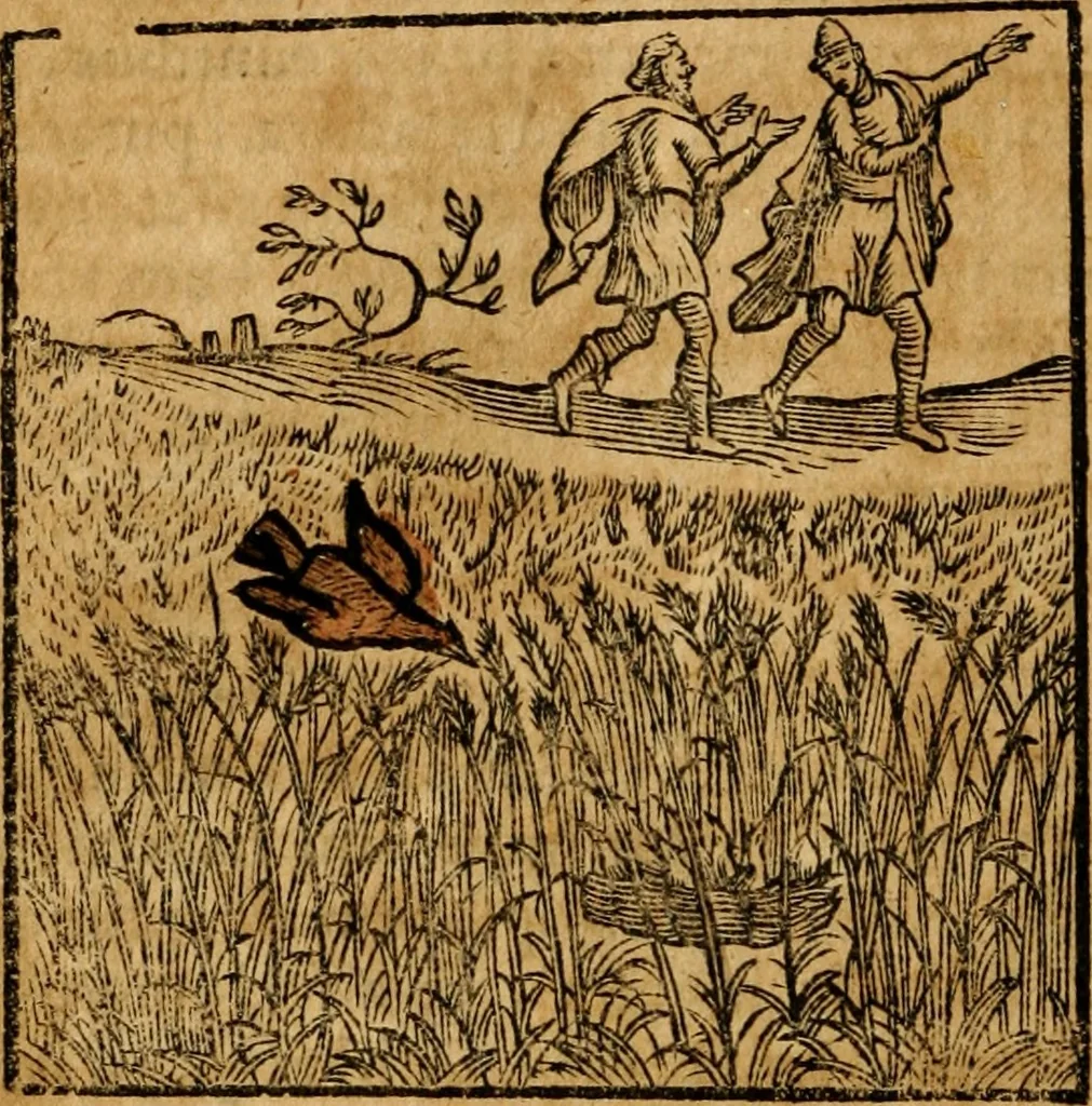 An illustration from Fabulae c. Aesopicae, 1590, leaf 243