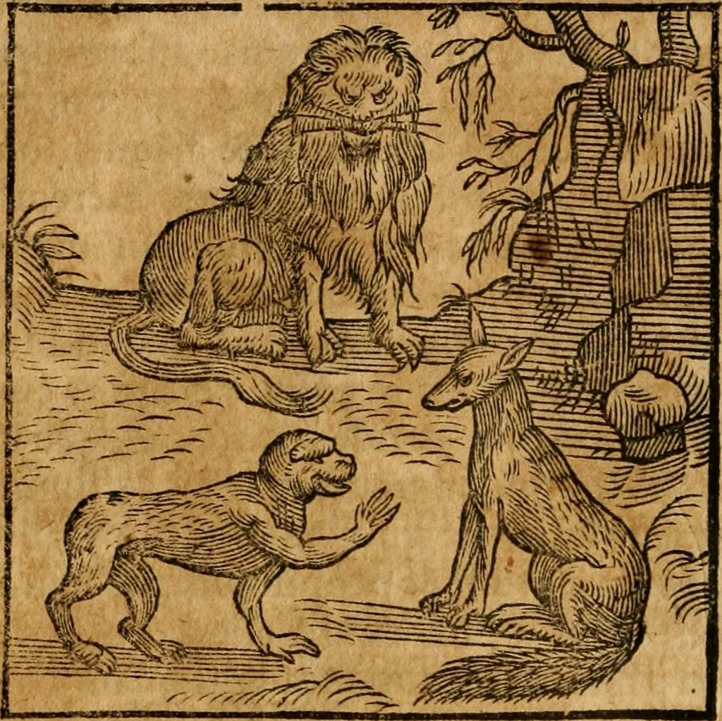 An illustration from Fabulae c. Aesopicae, 1590, leaf 249
