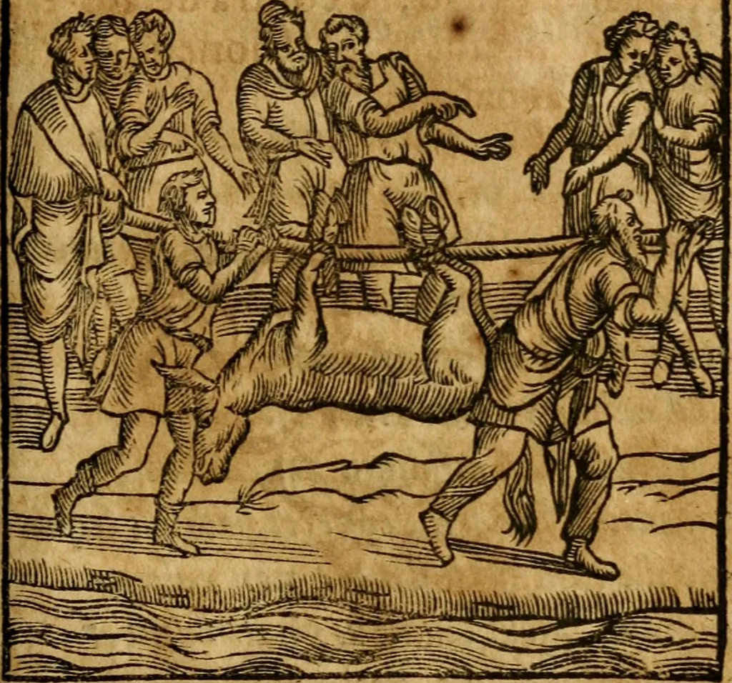 An illustration from Fabulae c. Aesopicae, 1590, leaf 258
