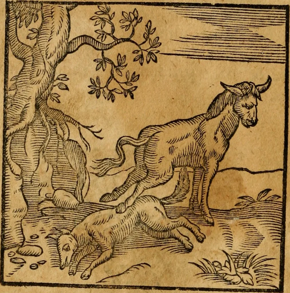 An illustration from Fabulae c. Aesopicae, 1590, leaf 31