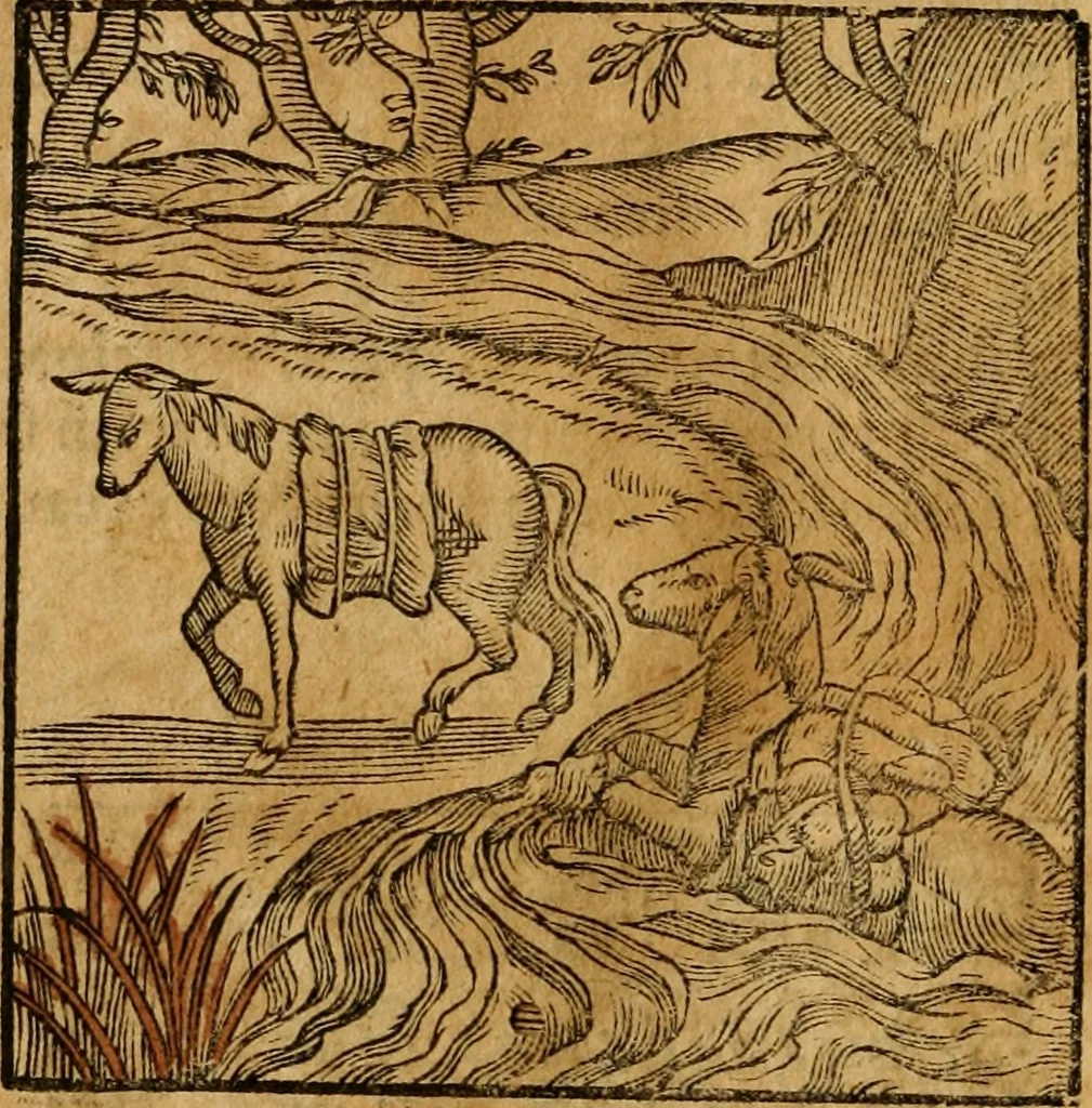 An illustration from Fabulae c. Aesopicae, 1590, leaf 35